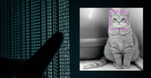 egy macska ül egy számítógépes kód mellett