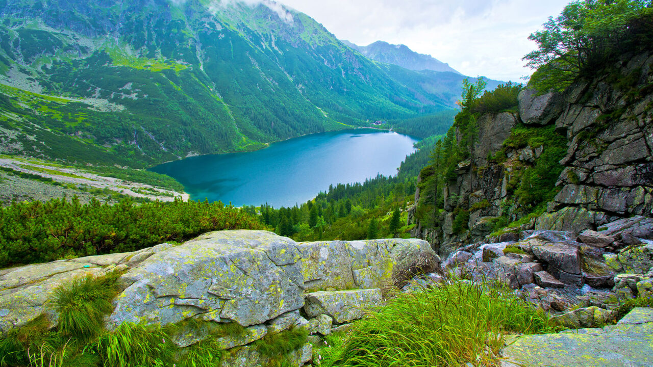 Második esettanulmány